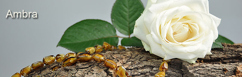 Duft Ambra